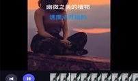 葫芦最新爆料视频大全下载,揭秘幕后真相，精彩瞬间一网打尽
