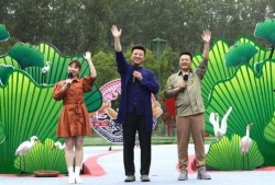 最新爆料车祸视频下载软件,车祸现场惊心动魄！最新爆料视频下载软件揭秘