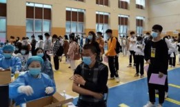 新军爆料洛天衣最新消息,新军爆料揭秘神秘新篇章