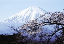 富士山最新爆料新闻,揭秘神秘火山喷发前的征兆与应对措施