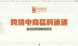 跨境电商最新爆料,揭秘最新爆料背后的行业变革