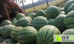莱芜吃瓜最新事件爆料,最新爆料揭秘惊人内幕