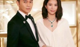 娱乐圈爆料模板最新版,当红明星感情纠葛大揭秘！