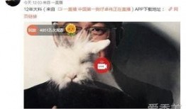 济南出轨爆料事件最新,真相与争议交织的婚姻漩涡
